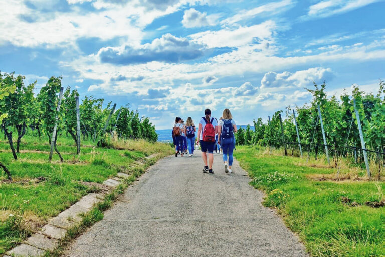 Wine Tour in Heilbronn